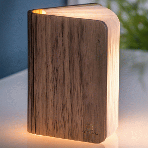 Gingko Mini Smart Book Light Walnut