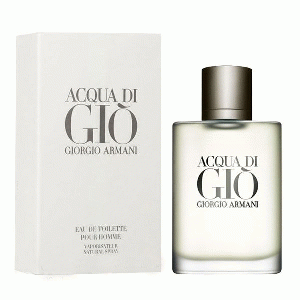 Acqua di Gio homme eau de toilette spray 200 ml