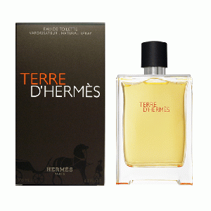 Terre d'Hermes eau de toilette spray 100 ml