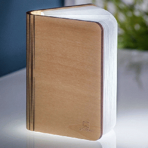 Gingko Mini Smart Book Light Maple