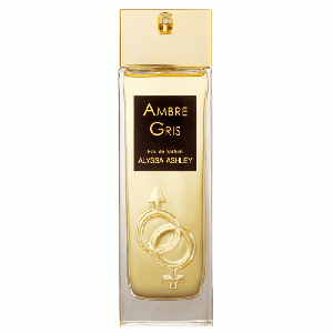 Ambre Gris eau de parfum spray 100 ml (dames)