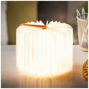 Gingko Mini Smart Book Light Linen Fabric Harmony Orange