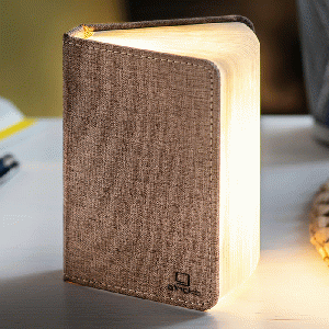 Gingko Mini Smart Book Light Linen Fabric Coffee Brown