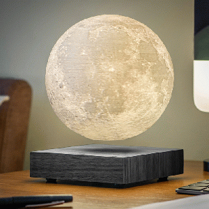 Gingko - Smart Moon Lamp Black