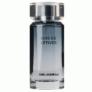 Bois de Vétiver eau de toilette spray 100 ml (heren)