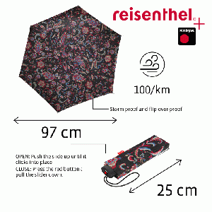 Umbrella Pocket Mini opvouwbare paraplu - Paisley Black