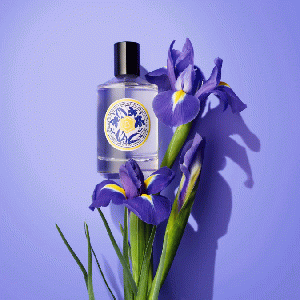 Iris Suprema eau de cologne spray 100 ml (iris)