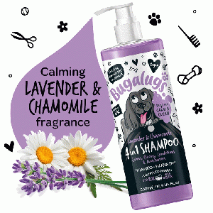 Lavender & Chamomile 4-in-1 hondenshampoo 500 ml