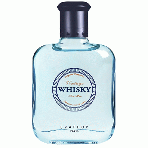 Evaflor - Whisky Vintage eau de toilette spray 100 ml