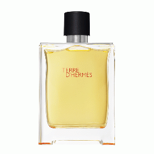 Terre d'Hermes eau de parfum spray 200 ml