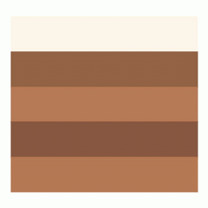 Revlon Highlighting Palette No. 040 - Desert Bronze