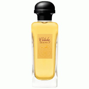 Calèche eau de parfum spray 100 ml (dames)